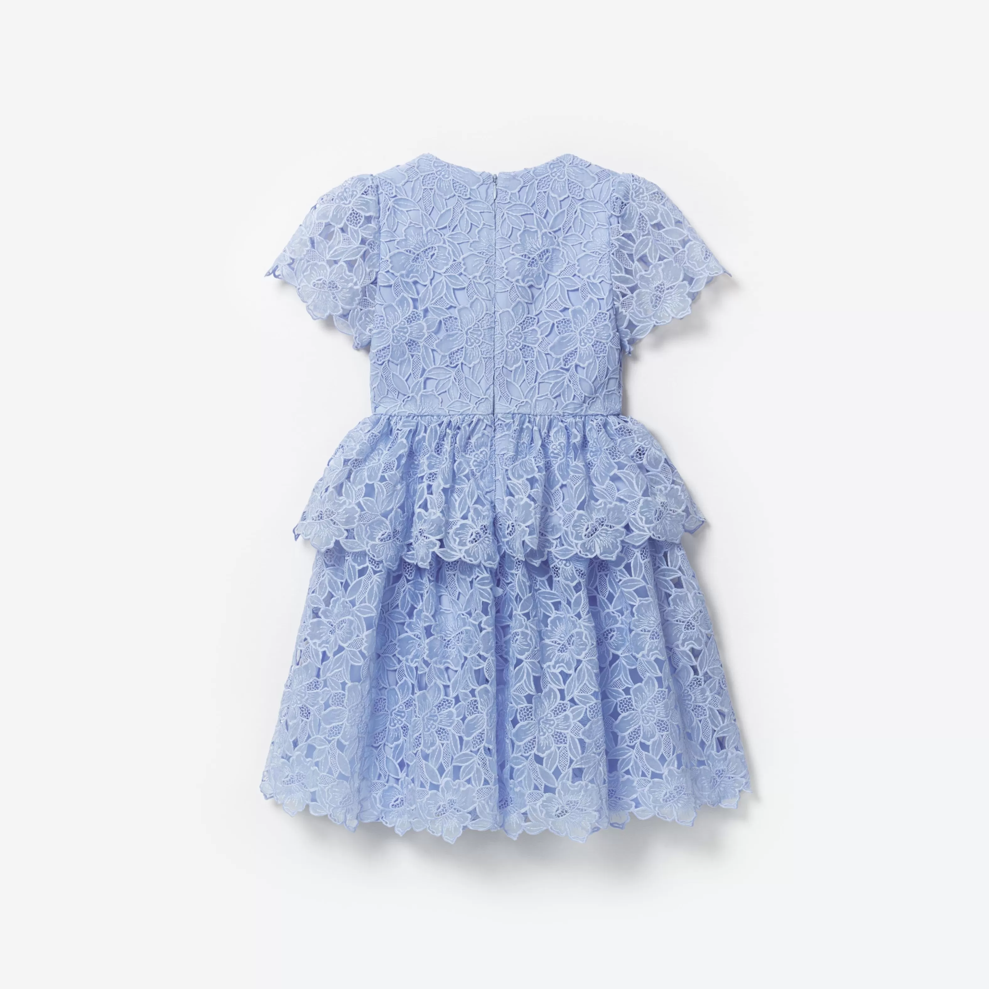 Fashion Organza Lace Mini Dress Kids Flower Girl | Kids